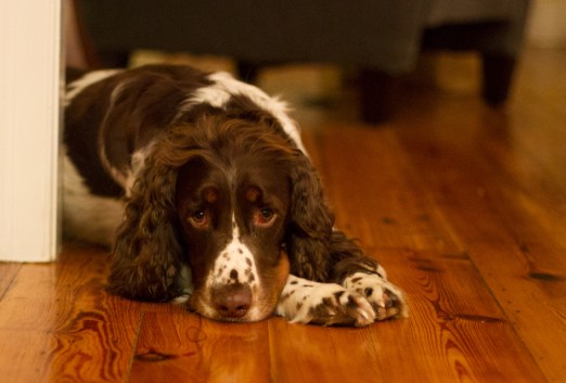 Featured Image -- 304