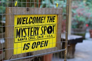 Photo courtesy Michelle W.