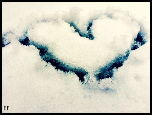 snow-love-but-not_16355314461_o