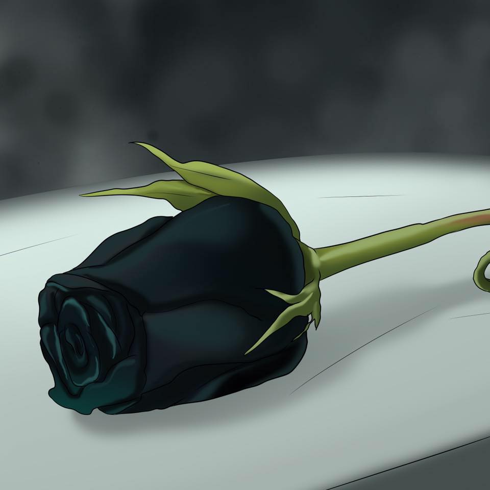 17103656_261817287608687_4263093900662462764_n